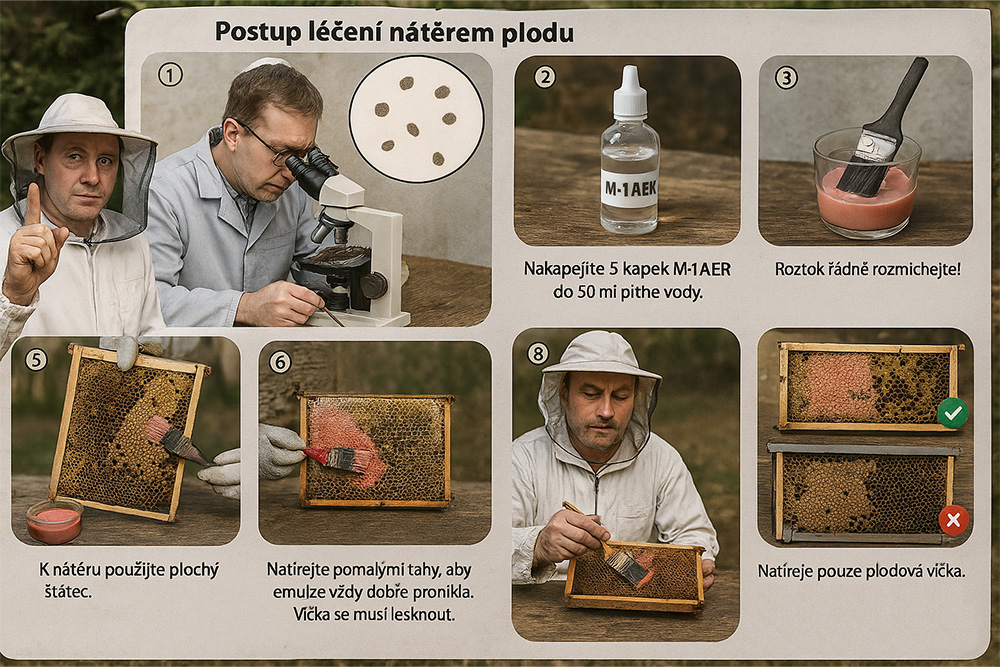 Ilustrační fotografie k tématu článku: Nátěr plodu jako opatření proti varroáze v předjaří